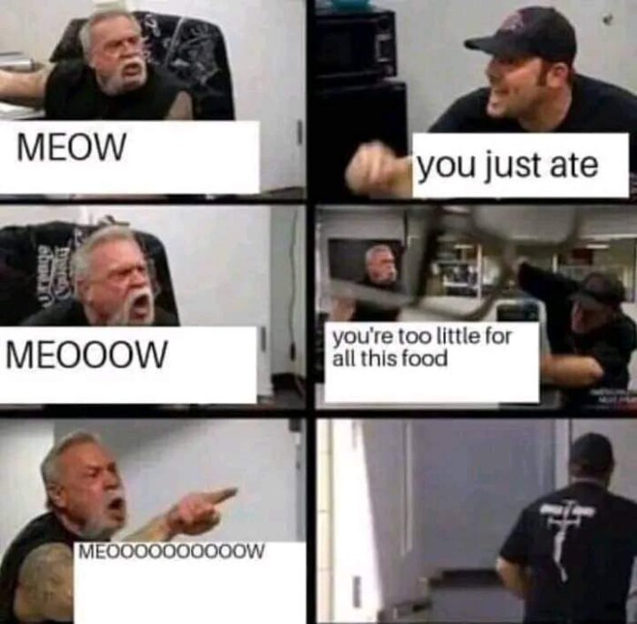 Meme by disneymemes