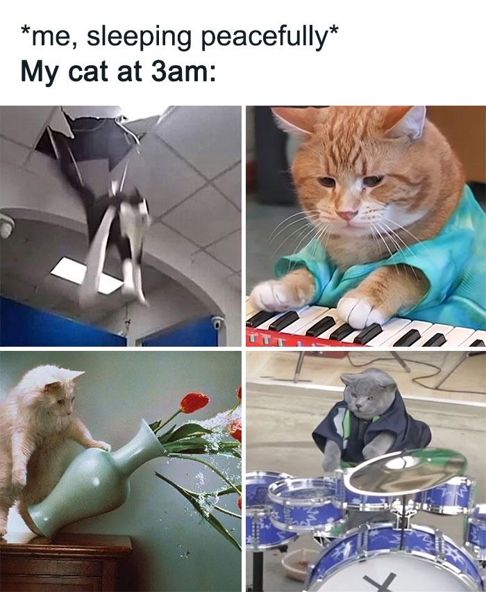 Meme by kronk