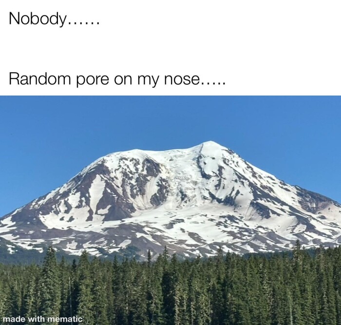 Nobody... Random pore on my nose... made with mematic