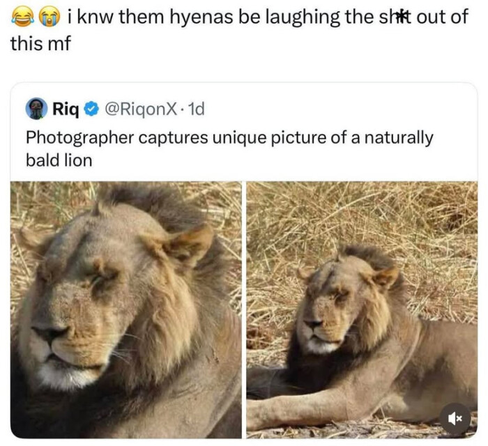 Meme by listables