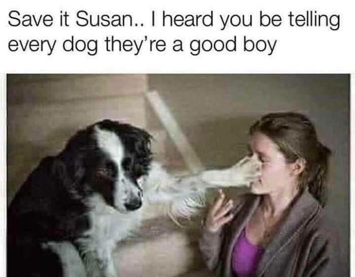 Meme by doge