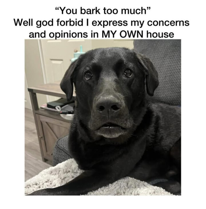 "You bark too much" Well god forbid I express my concerns and opinions in MY OWN house
