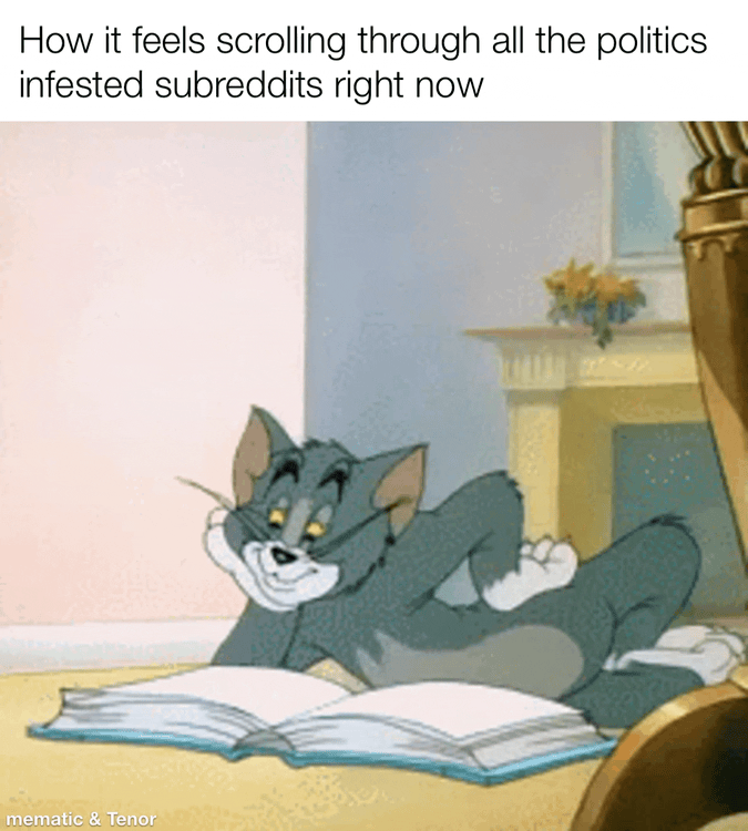 How it feels scrolling through all the politics infested subreddits right now mematic & Tenor