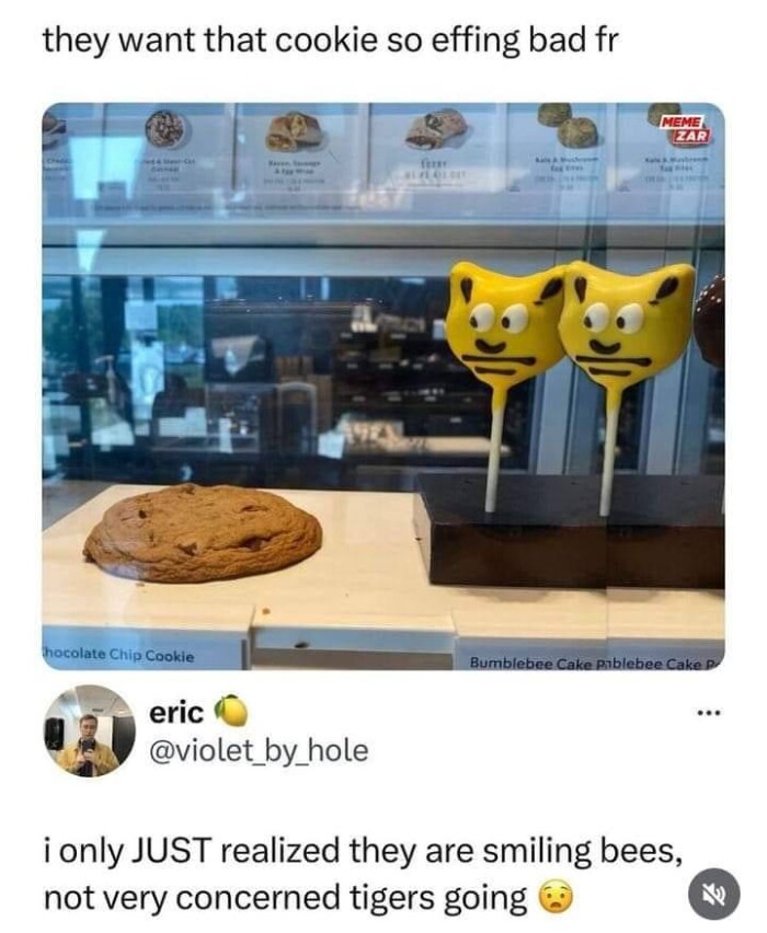 they want that cookie so effing bad fr hocolate Chip Cookie Bumblebee Cake Pablebee