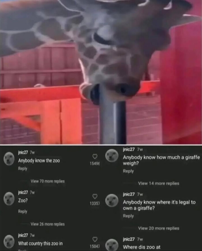 Anybody know the zoo