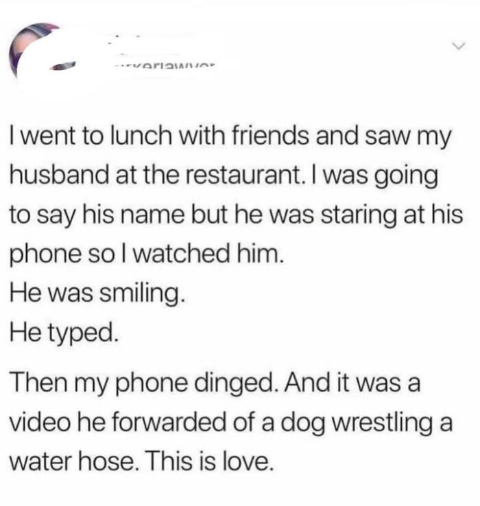 "VAPISIASIAR I went to lunch with friends and saw my husband at the restaurant. was going say his name but he staring phone so watched him. He smiling. typed. Then dinged. And it a video forwarded of dog wrestling water hose. This is love.