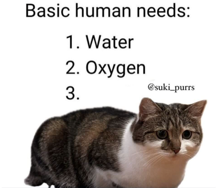 Basic human needs:
