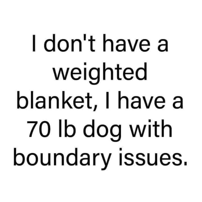 I don't have a weighted blanket, 70 lb dog with boundary issues.