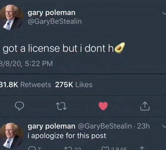 gary poleman @GaryBeStealin got a license but i dont ho 3/8/20, 5:22 PM 31.8K Retweets 275K Likes 17 23h apologize for this post