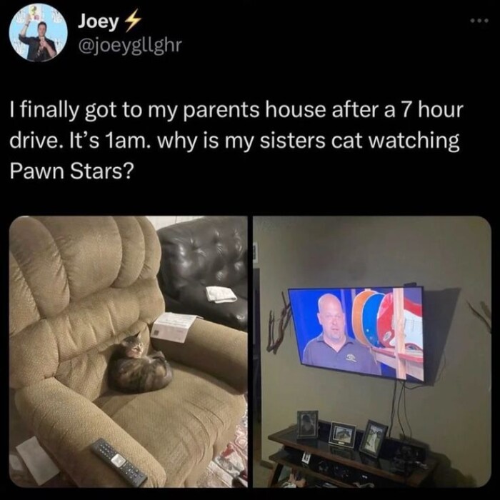 Meme by theworstoftumblr