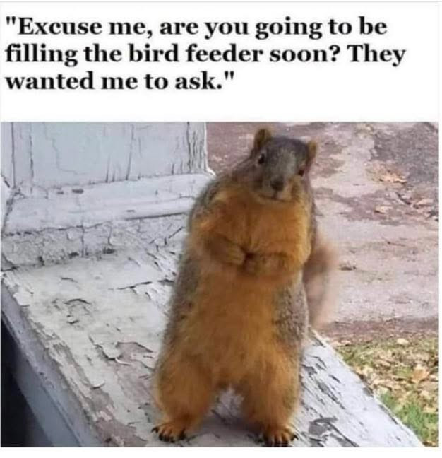 "Excuse me, are you going to be filling the bird feeder soon? They wanted me ask.