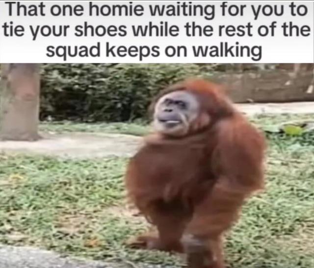 That one homie waiting for you to tie your shoes while the rest of squad keeps on walking