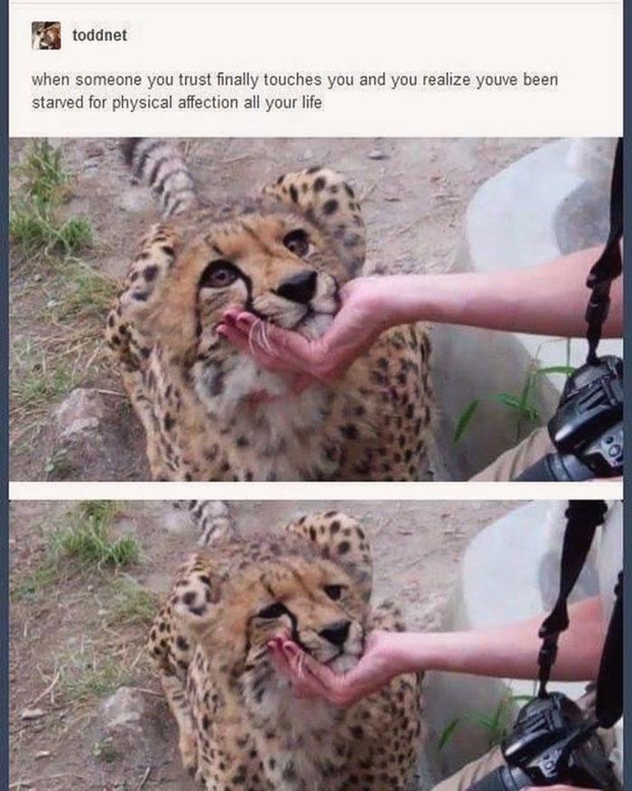 Meme by disneymemes