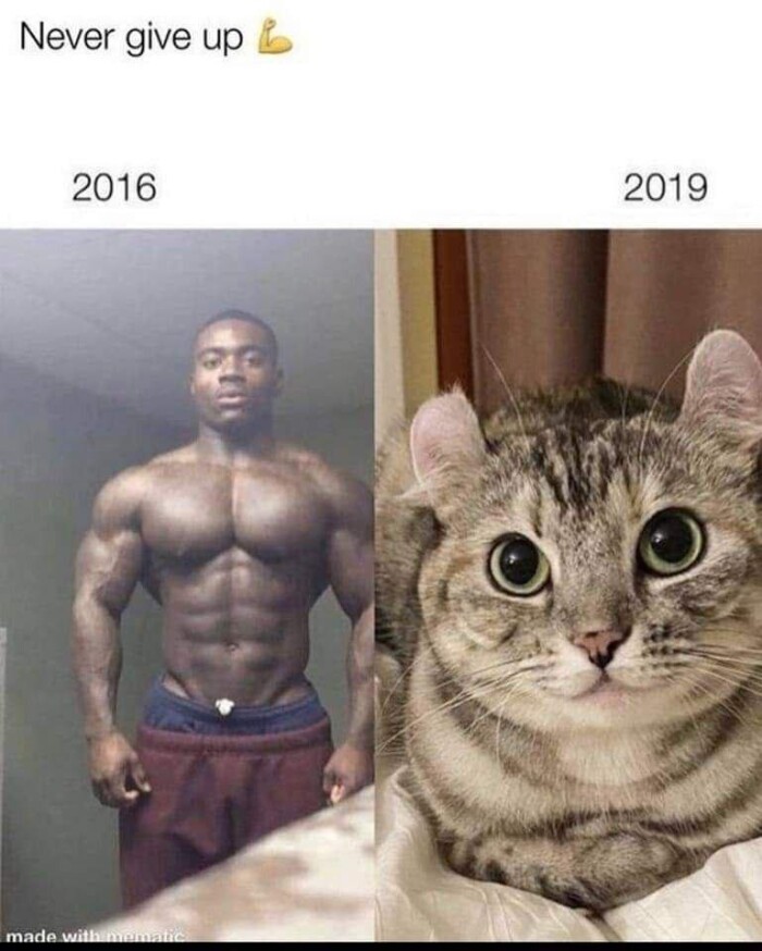 Never give up & 2016 2019