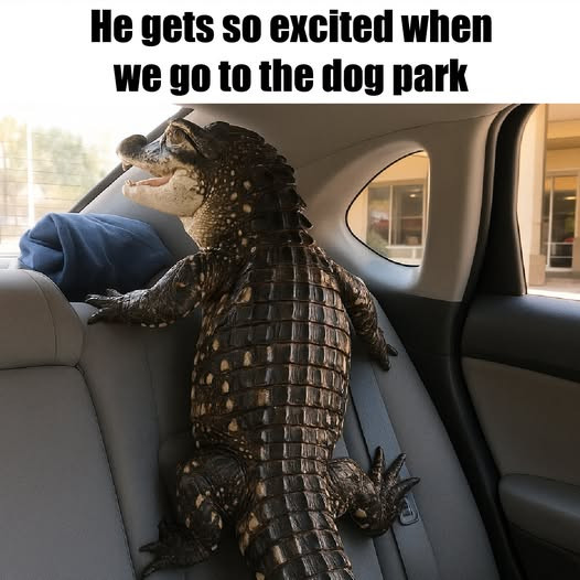 He gets so excited when we go to the dog park
