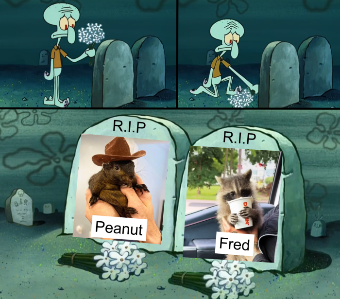 RI.P Peanut RIP g Fred
