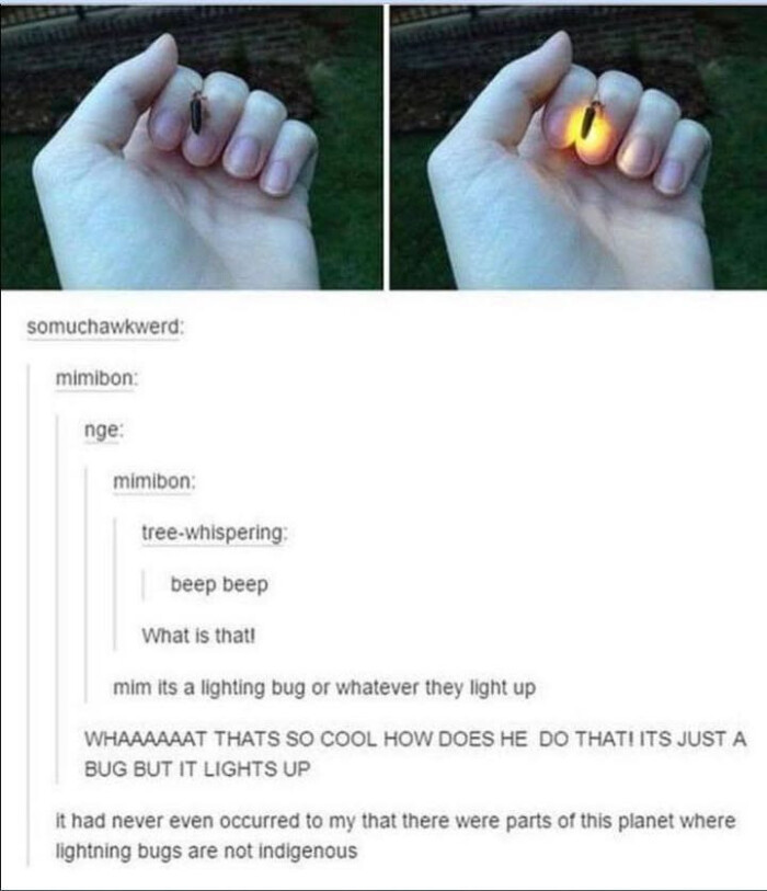 Meme by postyourcats
