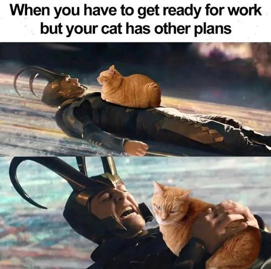 Meme by gargoyle