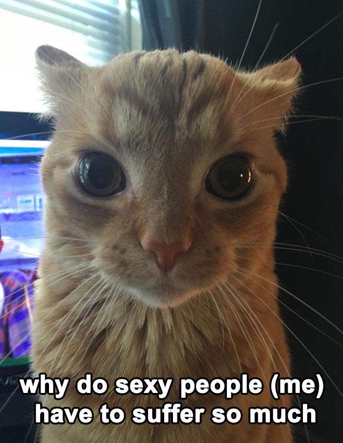 Meme by disneymemes