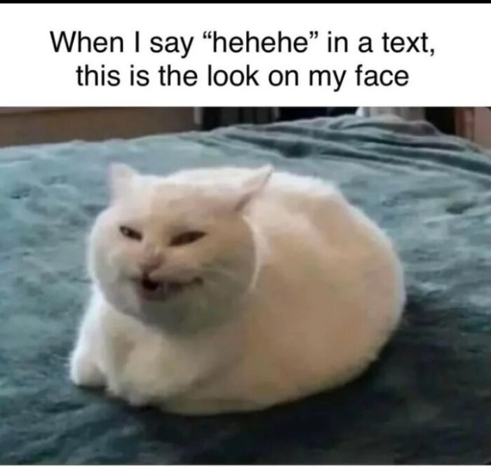 When I say "hehehe" in a text, this is the look on my face
