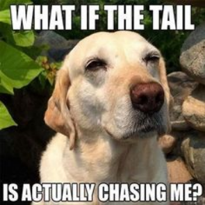 Meme by doge