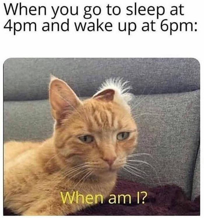 Meme by catsoncatnip