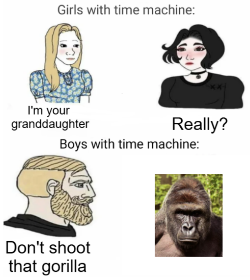 Girls with time machine: I'm your granddaughter Really? Boys Don't shoot that gorilla