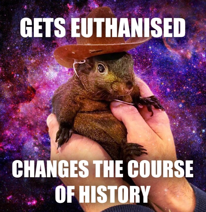 GETS EUTHANISED CHANGES THE COURSE OF HISTORY