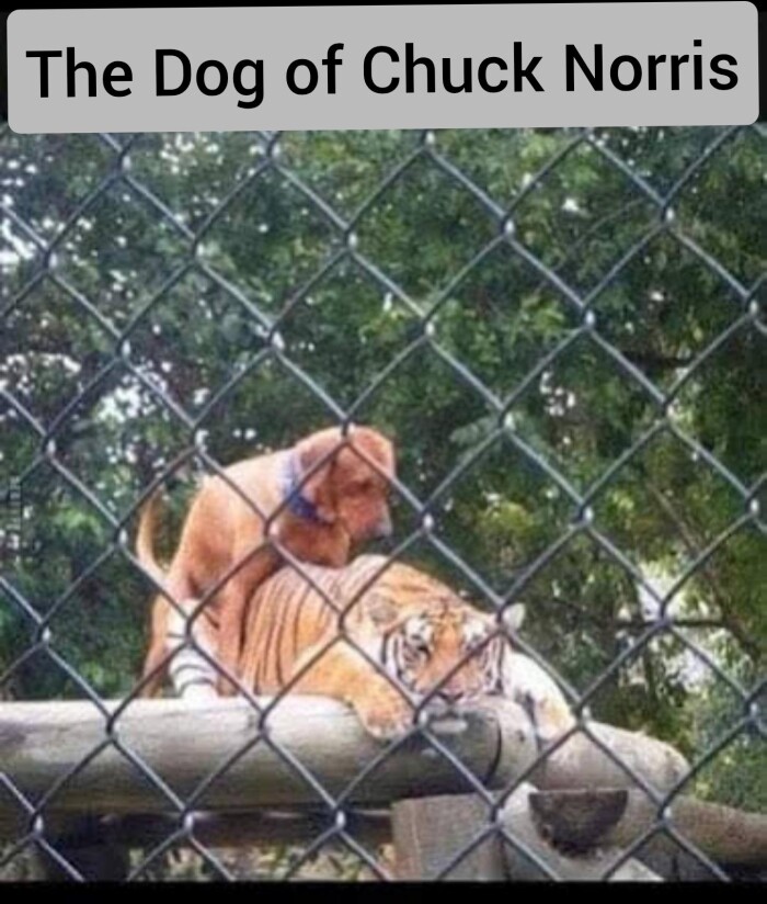 Meme by iamfunny