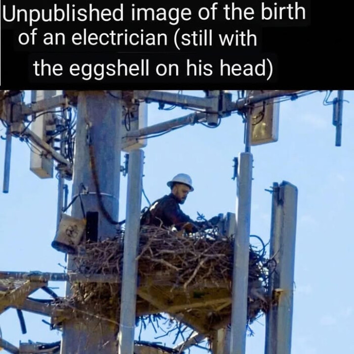 Unpublished image of the birth an electrician (still with eggshell on his head)