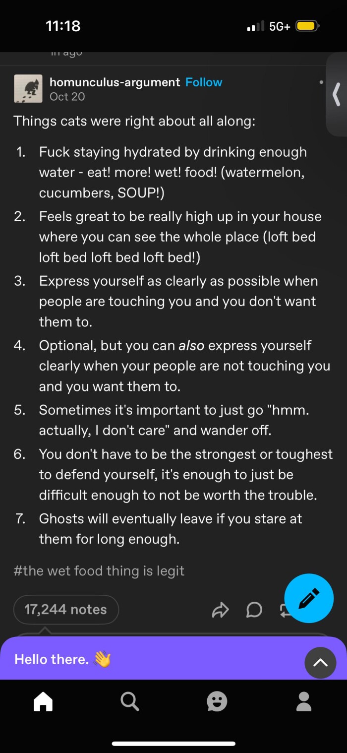11:18 .. 5G+ p ayU homunculus-argument Follow Oct 20 Things cats were right about all along: 1. staying hydrated by drinking enough water - eat! more! wet! food! (watermelon, cucumbers, SOUP!) 2. Feels great to be really high up in your house where you can see the whole place (loft bed loft bed! 3. Express yourself as clearly possible when people are touching and don't want them to. 4. Optional, but also express not 5. Sometimes it's important just go "hmm. actually, I care wander off. 6. You…
