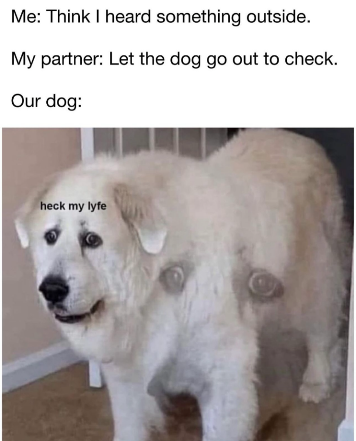 Meme by disneymemes