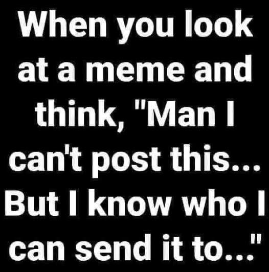 When you look at a meme and think, "Man I can't post this... But know who can send it to...