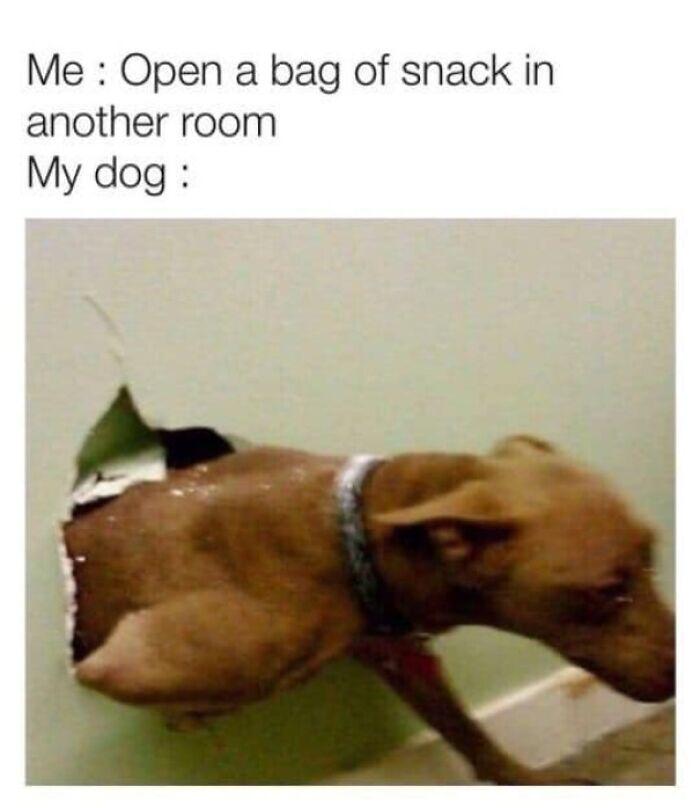 Meme by gargoyle
