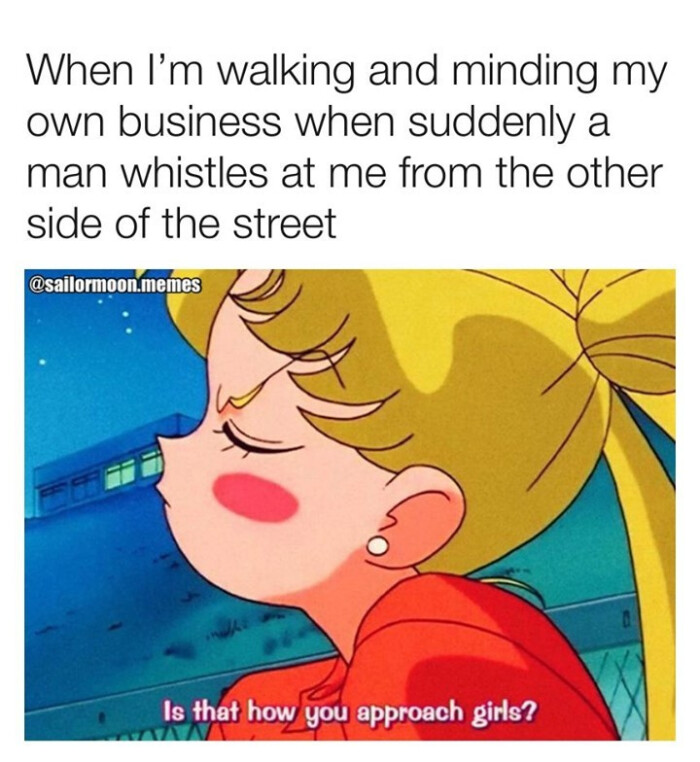 When I'm walking and minding my own business when suddenly a man whistles at me from the other side of street @sailormoon.memes Is that how you approach girls?