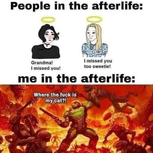 People in the afterlife: Grandma! I missed you too sweetie! you! me Where is my cat?!