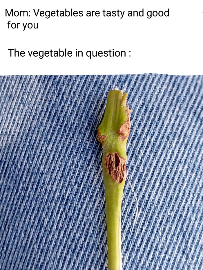 Mom: Vegetables are tasty and good for you The vegetable in question: