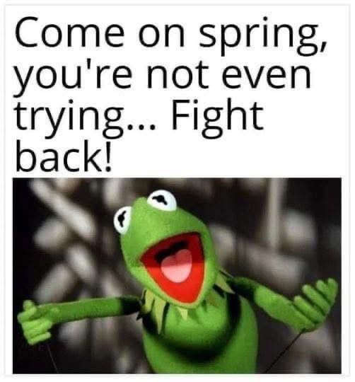 Come on spring, you're not even trying.. Fight back!