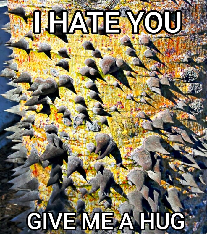 Meme by straya