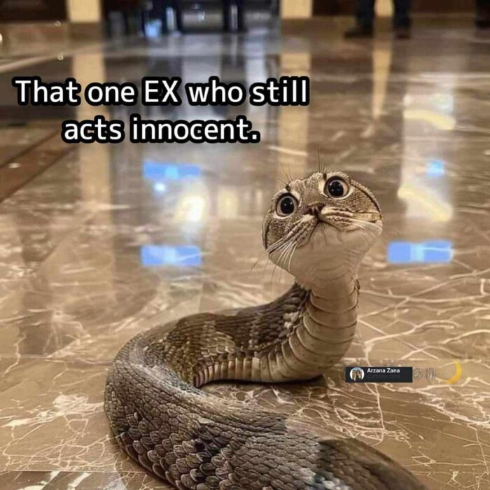Meme by warningdisneyaddictsonly