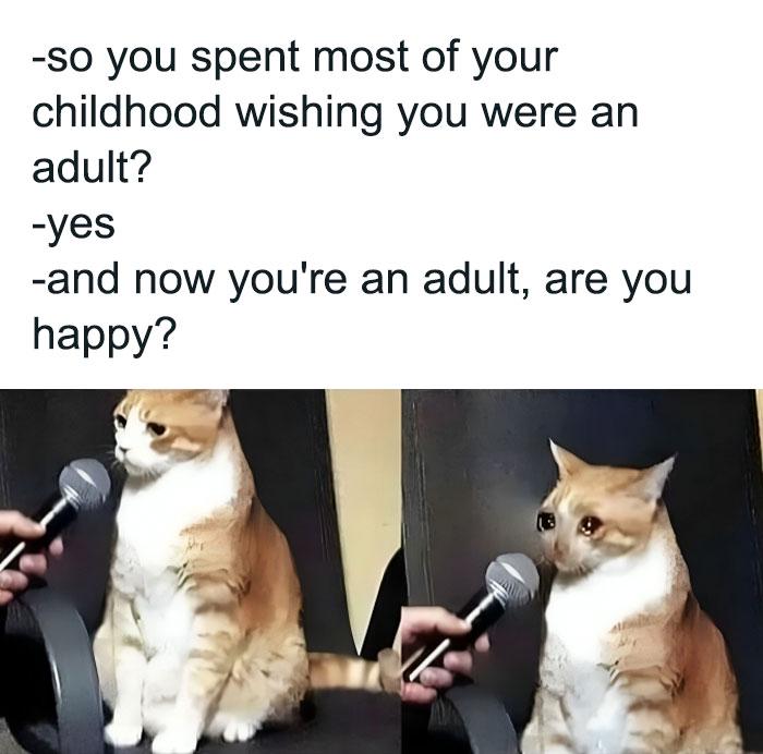 Meme by catsoncatnip