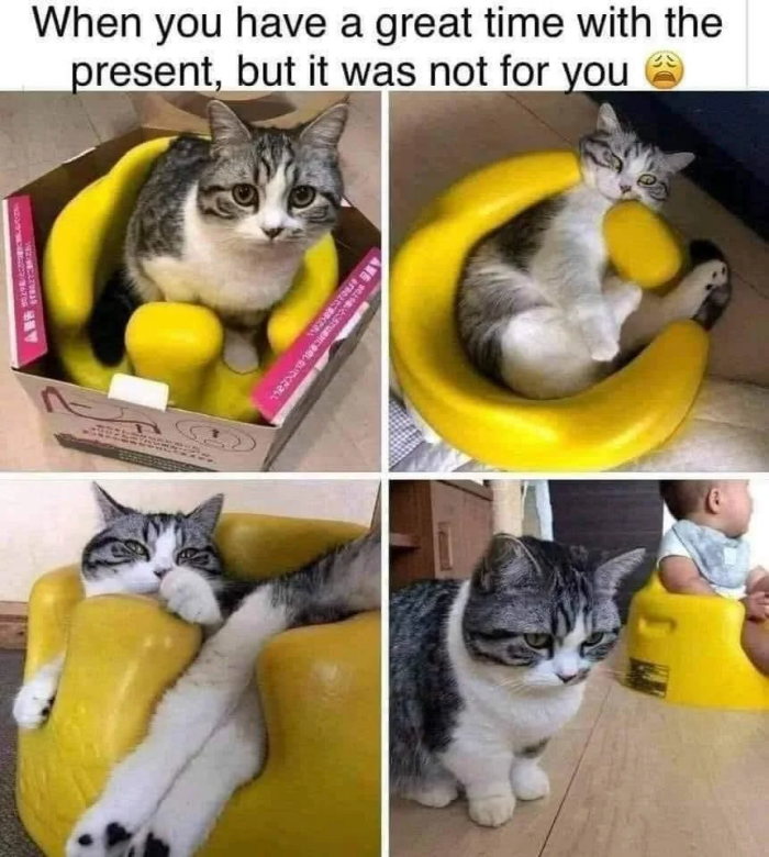 Meme by postyourcats