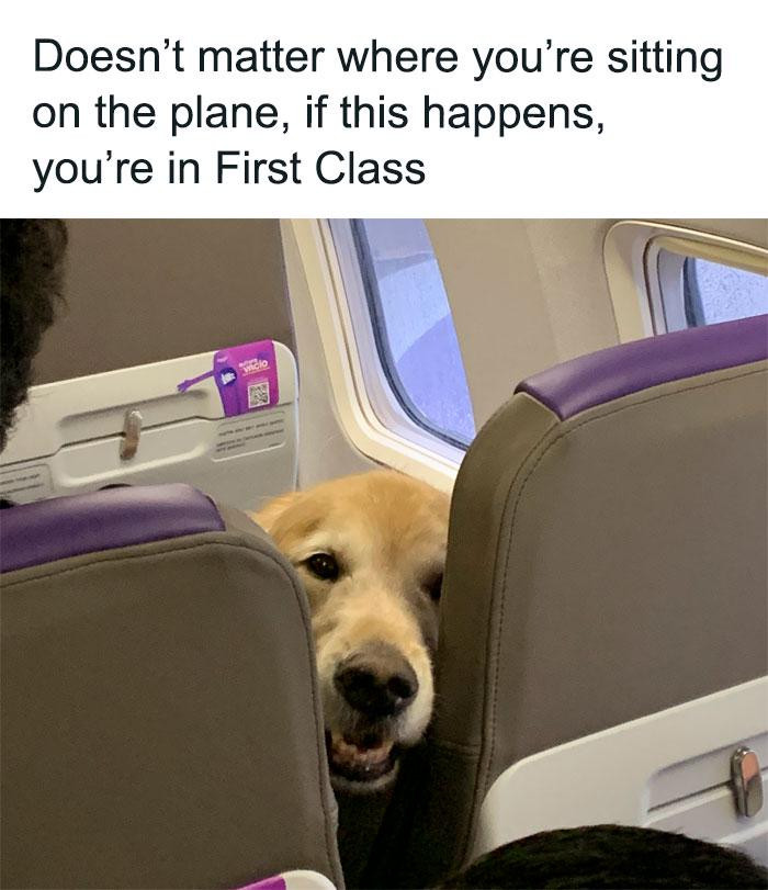 Doesn't matter where you're sitting on the plane, if this happens, in First Class