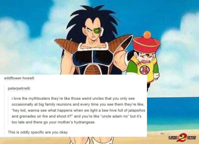 Meme by warningdisneyaddictsonly