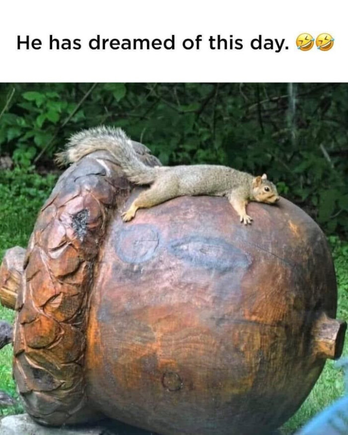 He has dreamed of this day.