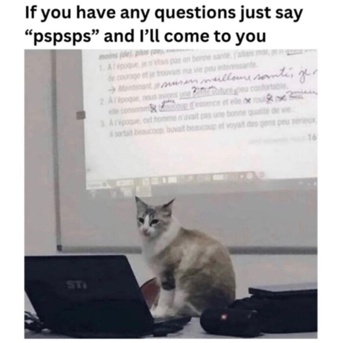 If you have any questions just say "pspsps" and l'll come to ti, jer