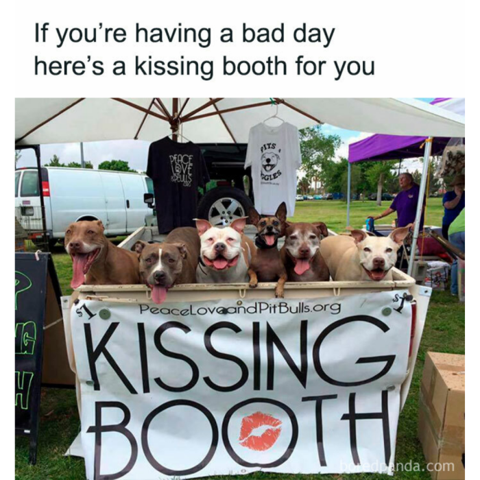 Meme by doge