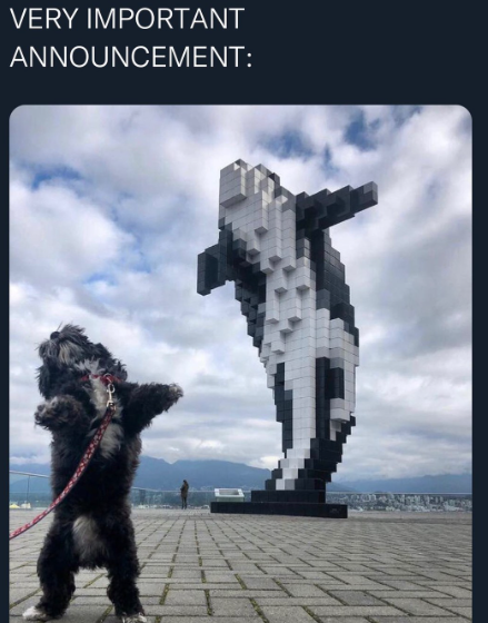 Meme by pupperdoggo
