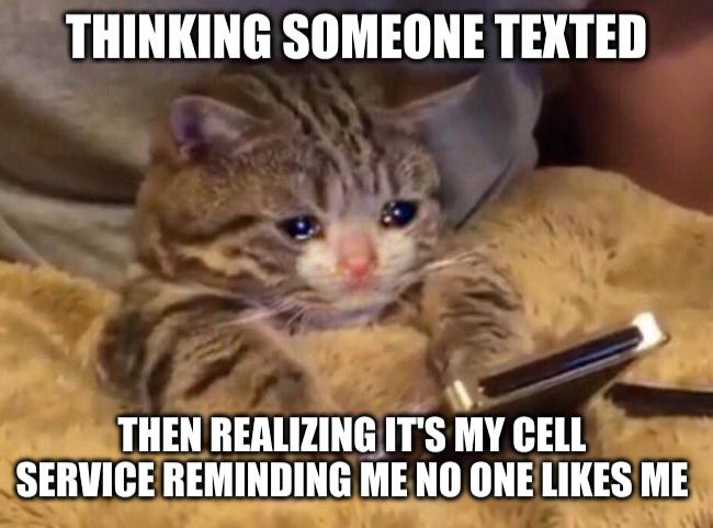 THINKING SOMEONE TEXTED THEN REALIZING IT'S MY CELL SERVICE REMINDING ME NO ONE LIKES