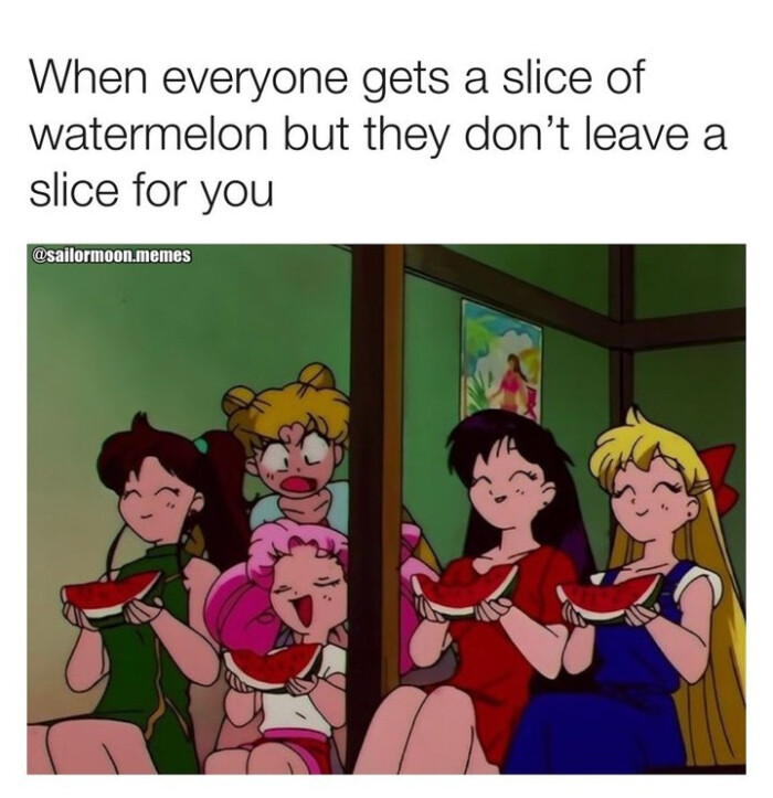 When everyone gets a slice of watermelon but they don't leave for you @sailormoon.memes